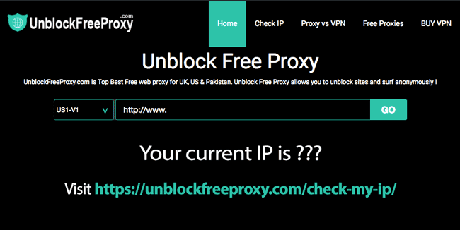 check my ip
